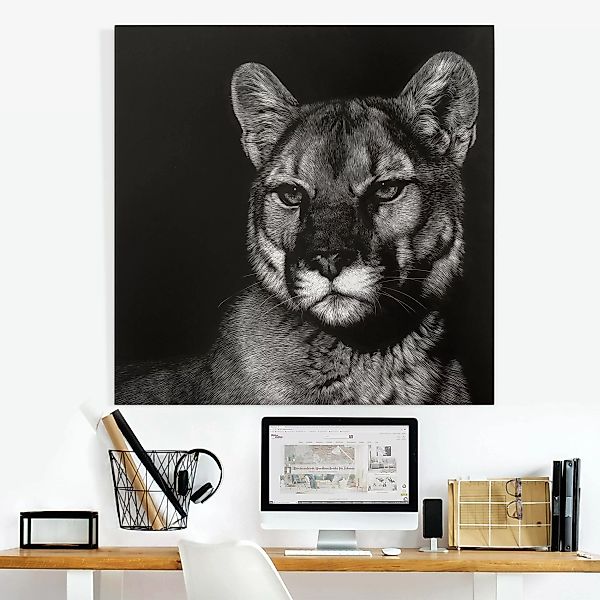 Leinwandbild Puma vor Schwarz günstig online kaufen