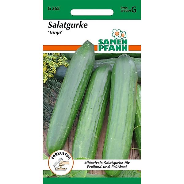 SAMEN PFANN Salatgurke Tanja günstig online kaufen
