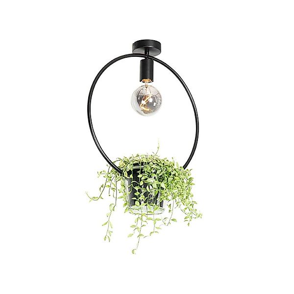 Qazqa Deckenleuchte Roslini, ohne Leuchtmittel, E27, günstig online kaufen