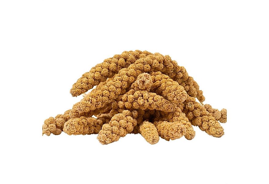 Lyra Pet 2 kg Lyra Pet® Kolbenhirse gelb, für: Wildvogel, Haus- und Nutztie günstig online kaufen