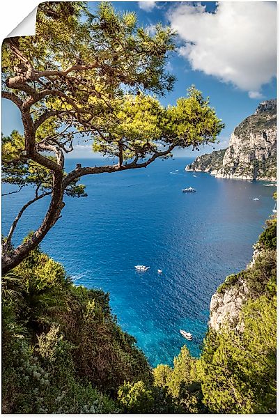 Artland Wandbild "Punta de Masullo, Insel Capri, Italien" Meer Bilder 1 Stk günstig online kaufen