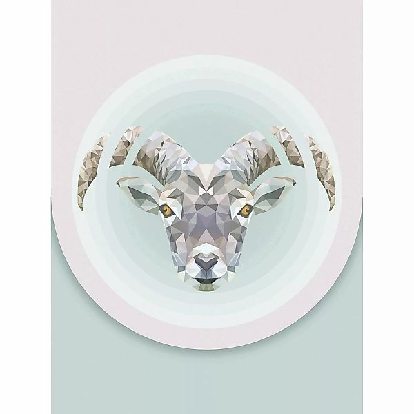 Komar Wandbild Capricorn 30 x 40 cm günstig online kaufen