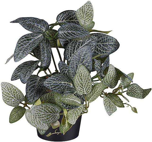 Künstliche Zimmerpflanze Caladium und Coleus und günstig online kaufen