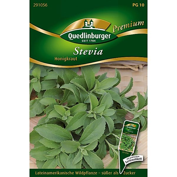 Quedlinburger Stevia Süßkraut Loses Saatgut günstig online kaufen