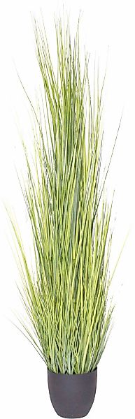 Botanic-Haus Kunstgras "Gras Festuca" günstig online kaufen