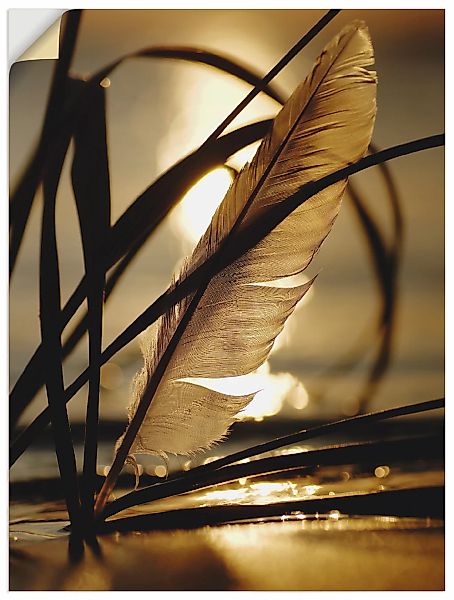 Artland Wandbild "Feder im Abendlicht", Gräser, (1 St.), als Leinwandbild, günstig online kaufen