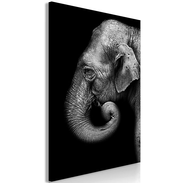Wandbild - Portrait of Elephant (1 Part) Vertical günstig online kaufen