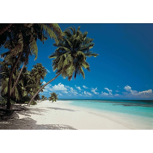 Komar Fototapete Treasure Island 368 cm x 254 cm FSC® günstig online kaufen