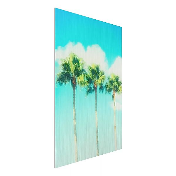 Alu-Dibond Bild Natur & Landschaft - Hochformat 2:3 Palmen vor Himmel Blau günstig online kaufen