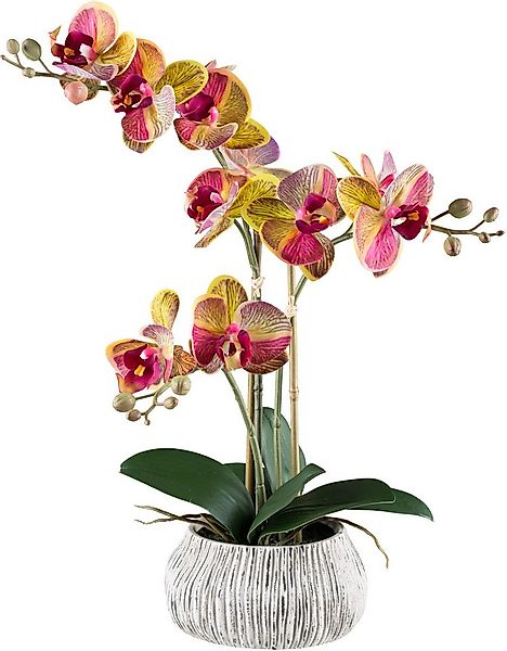 Kunstorchidee Orchidee Phalaenopsis, Creativ green, Höhe 48 cm, mit außerge günstig online kaufen