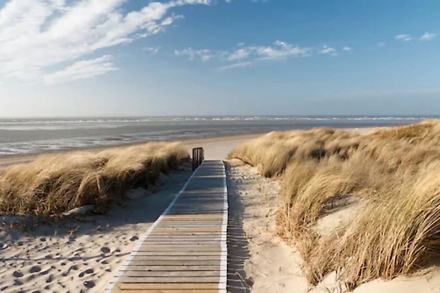 Papermoon Fototapete »Dunes in Langeoog« günstig online kaufen