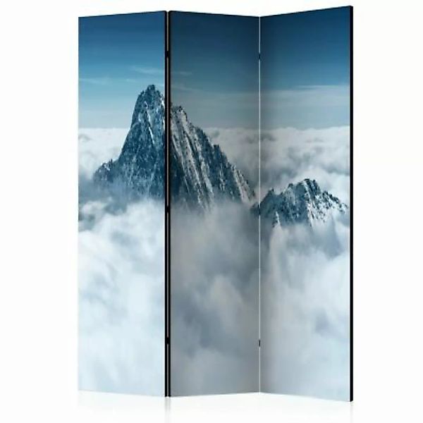 artgeist Paravent Mountain in the clouds [Room Dividers] weiß-kombi Gr. 135 günstig online kaufen