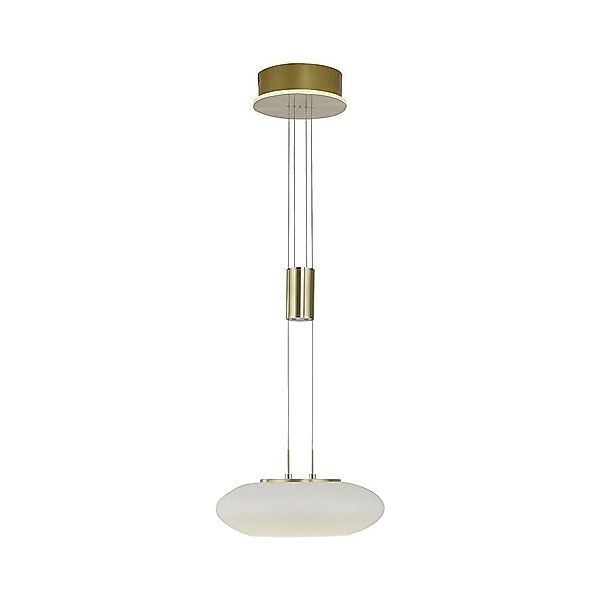 Paul Neuhaus Smarte LED-Leuchte LED Pendellampe günstig online kaufen