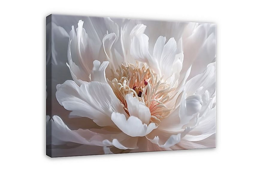 Wallarena Leinwandbild Blume Weiß Natur Modern Wandbilder Wand Deko XXL Bil günstig online kaufen