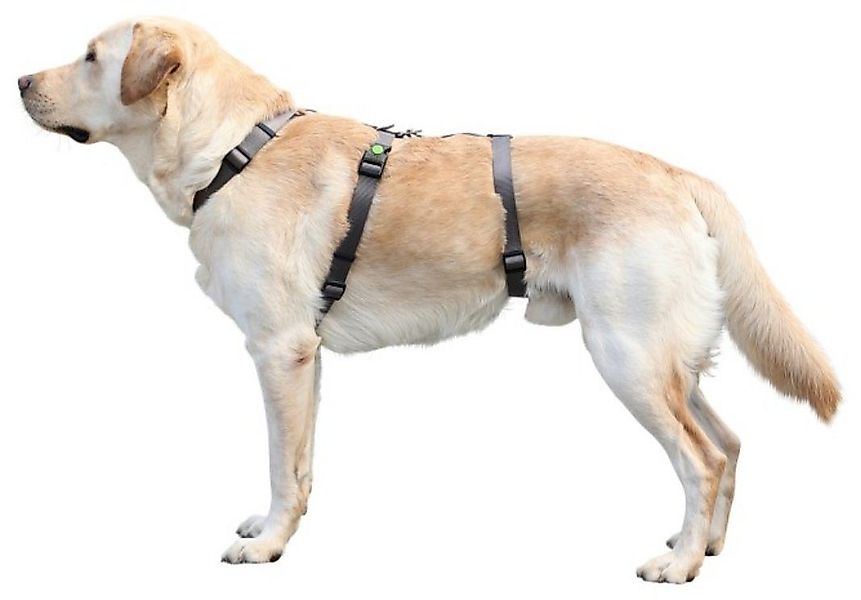 Kerbl Hunde-Sicherheitsgeschirr Panikgeschirr Miami 38 cm günstig online kaufen