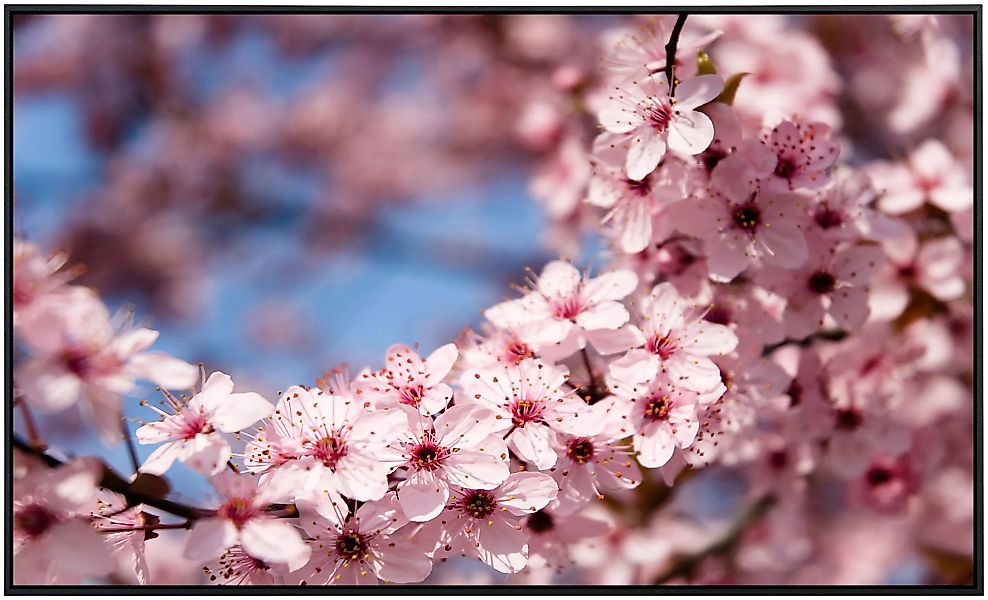 Papermoon Infrarotheizung »Frühlingsblumen«, sehr angenehme Strahlungswärme günstig online kaufen