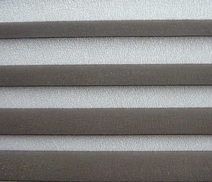 EXKLUSIV HEIMTEXTIL Plissee Plissee Verspannt mit günstig online kaufen