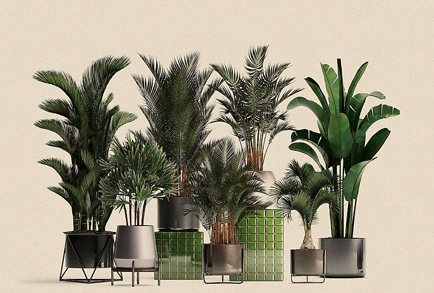 living walls Fototapete "Walls by Patel Plant Shop" glatt Vlies, Wand günstig online kaufen