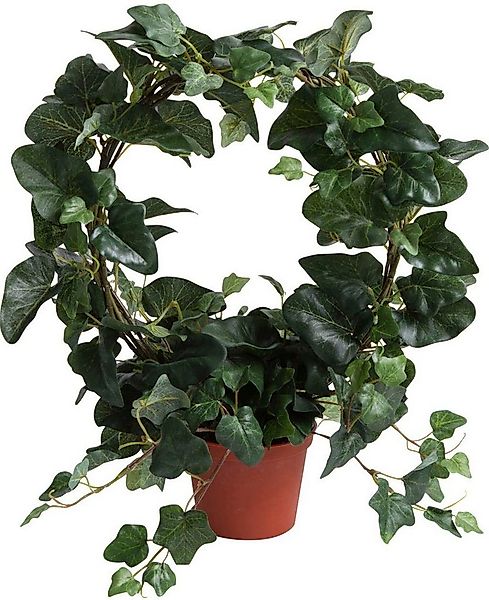Künstliche Zimmerpflanze Efeubogen im Topf Efeu, Botanic-Haus, Höhe 38 cm günstig online kaufen