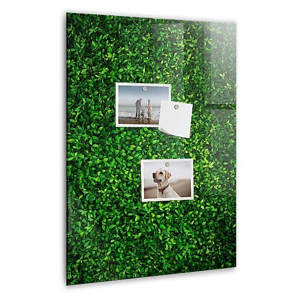 Tulup Magnettafel Aus Glas Blätter Der Zaunpflanze 40x60 cm Whiteboard Magn günstig online kaufen