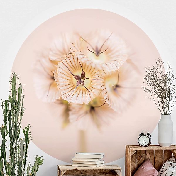 Runde Fototapete selbstklebend Pastellfarbener Blütenstrauß II günstig online kaufen