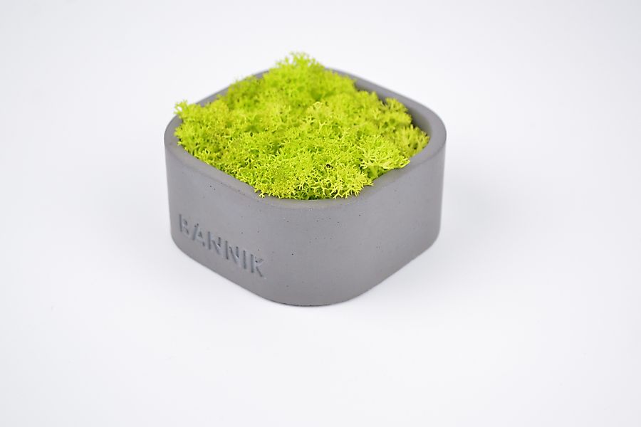 Bannik Dekoschale aus Beton - Deko-Ablage günstig online kaufen