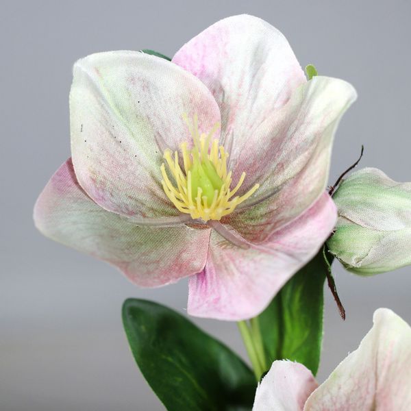 Kunstblume Christrosenzweig 35cm DP künstliche Christrose günstig online kaufen