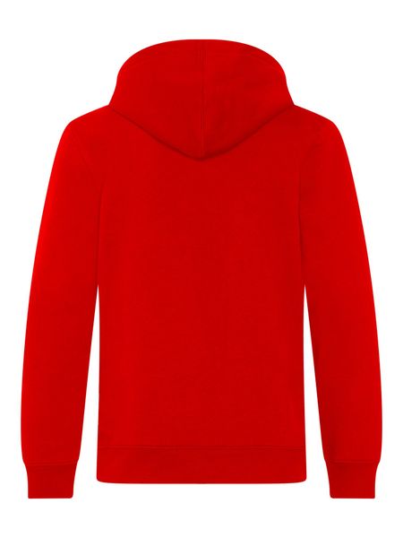 FC Bayern München Kapuzenpullover FC Bayern günstig online kaufen