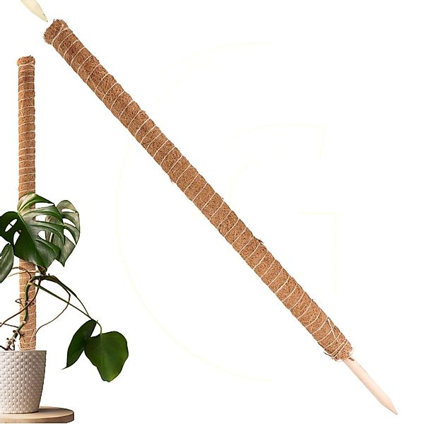 Gravidus Rankhilfe ​Erweiterbare Rankhilfe 110 cm günstig online kaufen