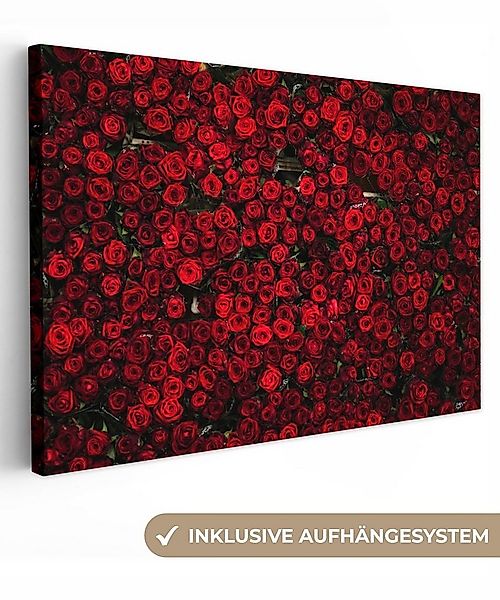 OneMillionCanvasses® Leinwandbild Blumen - Rosen - Rot, Fotodruck (1 St), L günstig online kaufen