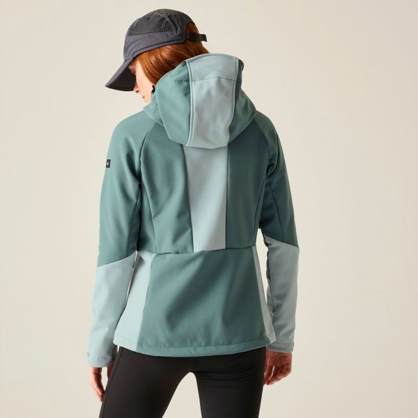 Regatta Softshelljacke Desoto mit Kapuze und günstig online kaufen