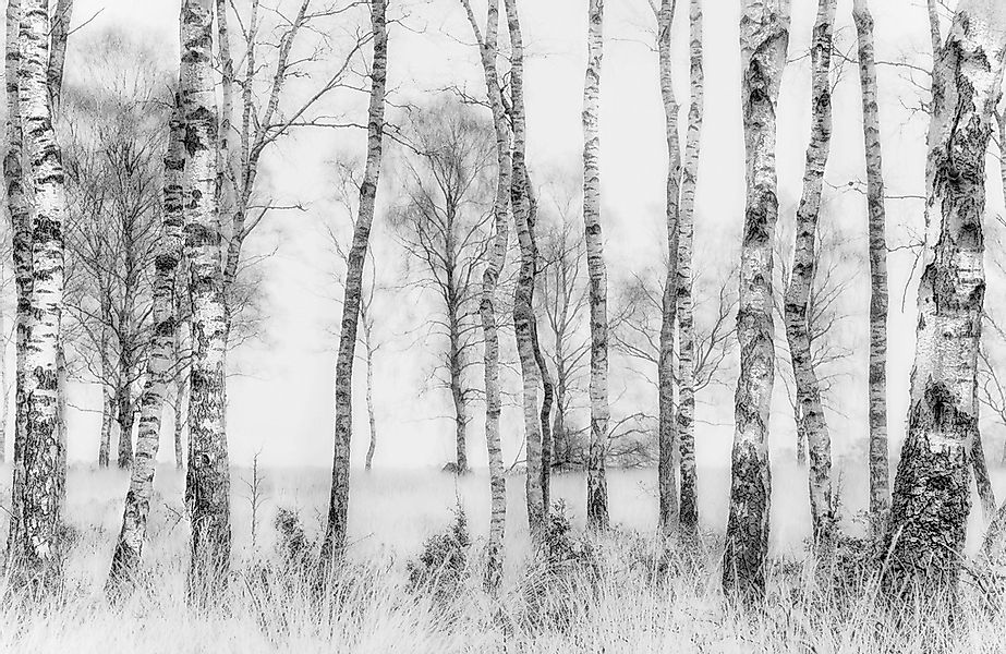 Papermoon Fototapete "Photo-Art NEL TALEN, SCHWARZ UND WEISS" günstig online kaufen