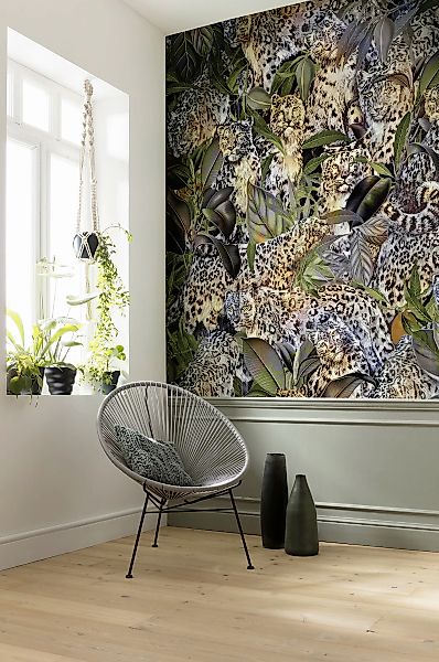 Komar Vliestapete »Digitaldruck Vlies - Wild Cats - Größe 200 x 250 cm«, be günstig online kaufen