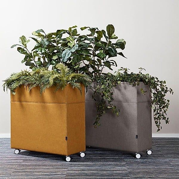 Götessons Plant Divider | Pflanzenbox klein | Konfigurator günstig online kaufen