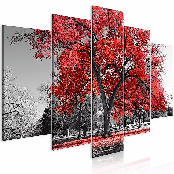 Wandbild - Autumn In The Park (5 Parts) Wide Red günstig online kaufen