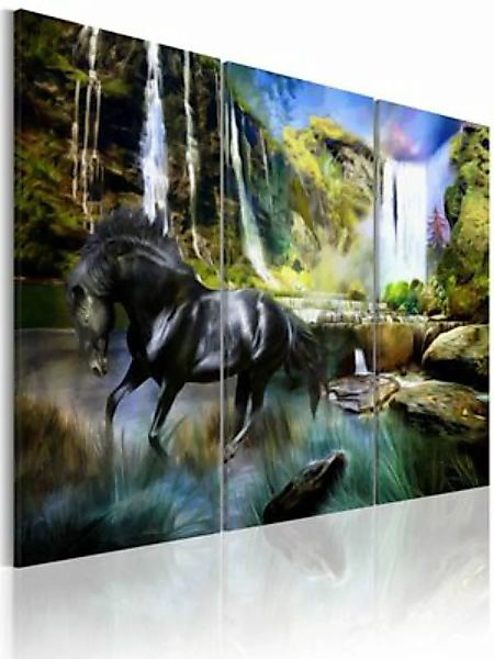 artgeist Wandbild Pferd vor dem Hintergrund eines Wasserfalls mehrfarbig Gr günstig online kaufen