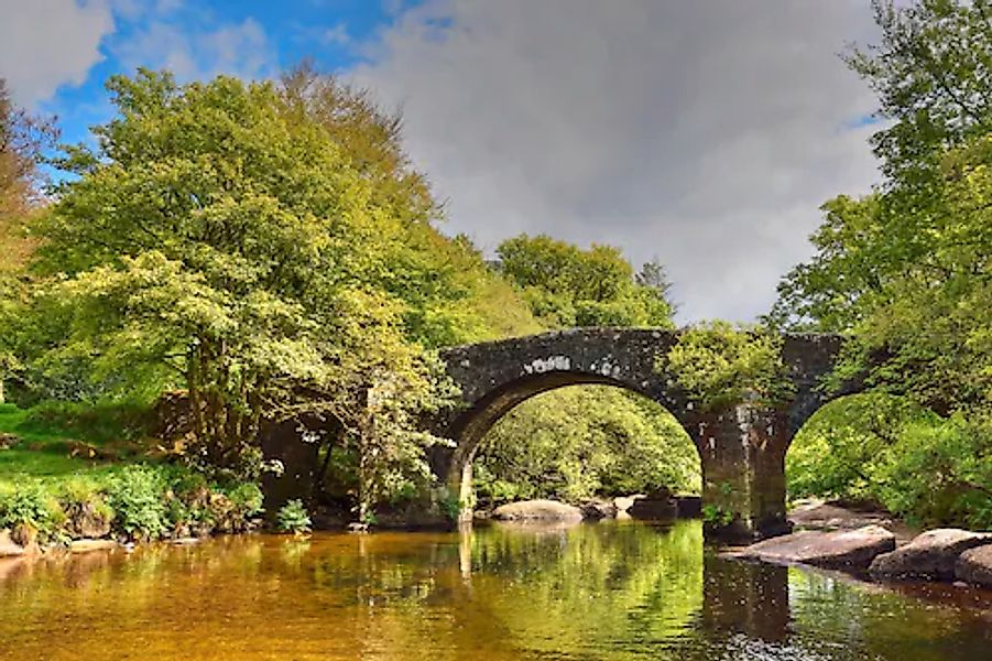 Papermoon Fototapete »Brücke im Wald« günstig online kaufen