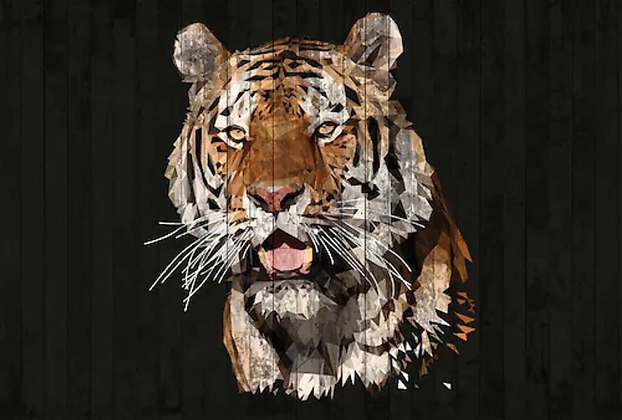Architects Paper Fototapete »Atelier 47 Polygon Tiger 2« Holz glatt Vlies, günstig online kaufen