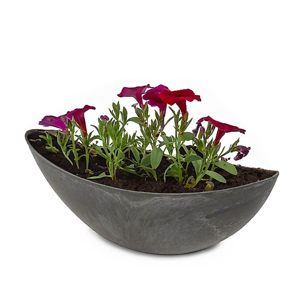 matches21 HOME & HOBBY Blumentopf Große günstig online kaufen