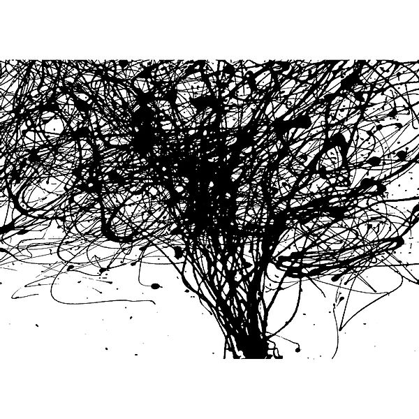 Komar Fototapete Vlies Curls  350 x 250 cm günstig online kaufen