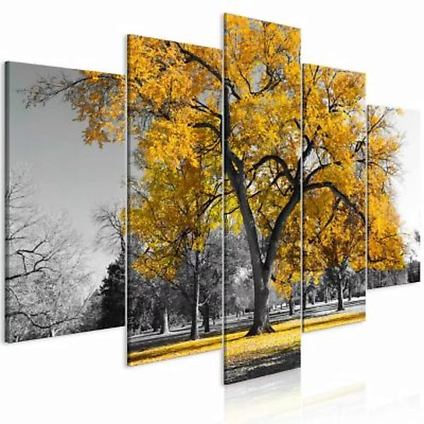 artgeist Wandbild Autumn in the Park (5 Parts) Wide Gold grau-kombi Gr. 200 günstig online kaufen