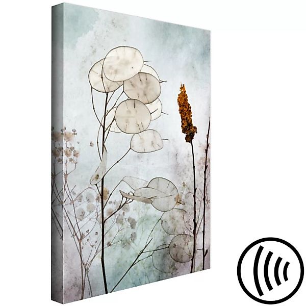Bild auf Leinwand Lunaria - Silberblätter auf einer Wiese mit wolkigem Hint günstig online kaufen