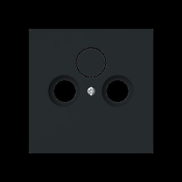 Busch-Jaeger Zentralscheibe Steckdose 2/3-fach 1743-45M günstig online kaufen