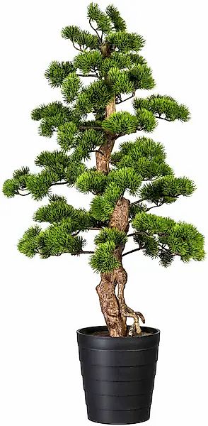 Creativ green Kunstbonsai »Bonsai Kiefer« günstig online kaufen