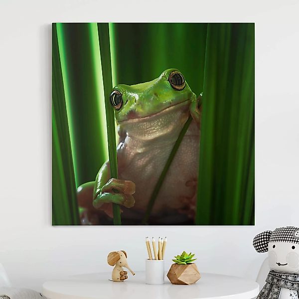 Leinwandbild Tiere - Quadrat Fröhlicher Frosch günstig online kaufen