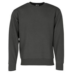 Fruit of the Loom Sweatshirt Fruit günstig online kaufen