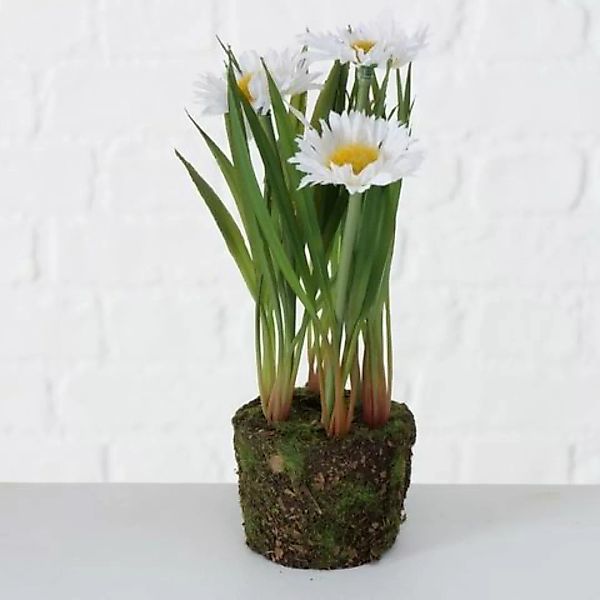 Boltze Kunstpflanzen & -blumen Margerite Kunstpflanze 20 cm (mehrfarbig) günstig online kaufen