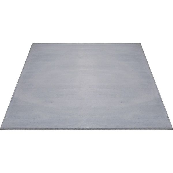Floornovo Kurzflor Teppich Nr. 249 Grau Einfarbig 340 x 240 cm günstig online kaufen