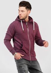 behype Kapuzensweatshirt "SWANTON" mit praktischer Kapuze günstig online kaufen