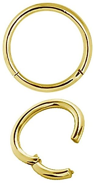 Karisma Nasenpiercing Karisma Hinged Titan G23 Segment Ring Nasenring Nasen günstig online kaufen